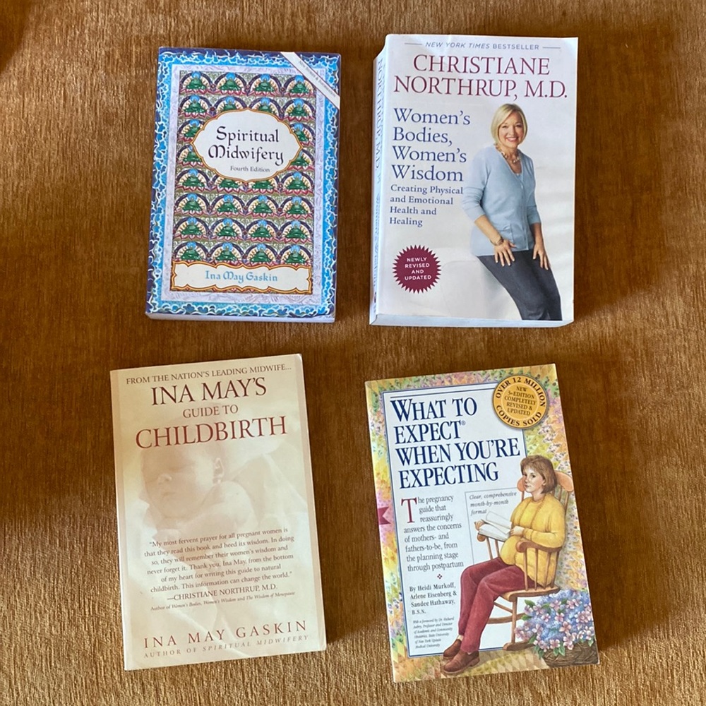 Pregnancy books